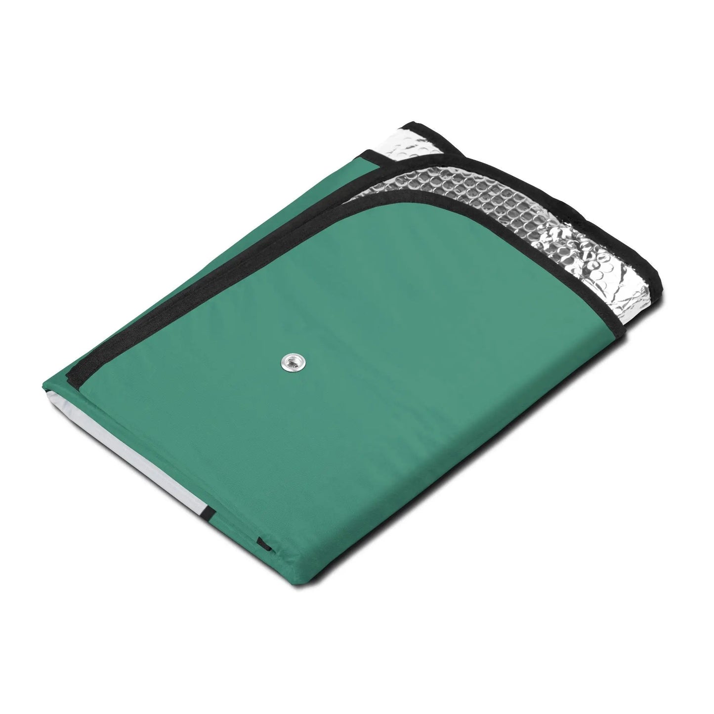 CAR SHOW windshield EYES Vintage Green Printify