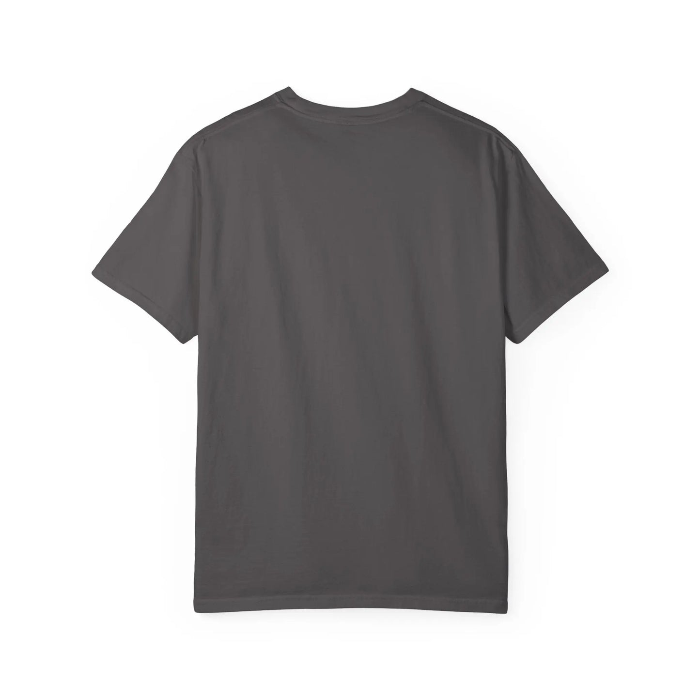 Vintage Wash Chevy C10 T-Shirt blk/wht Printify