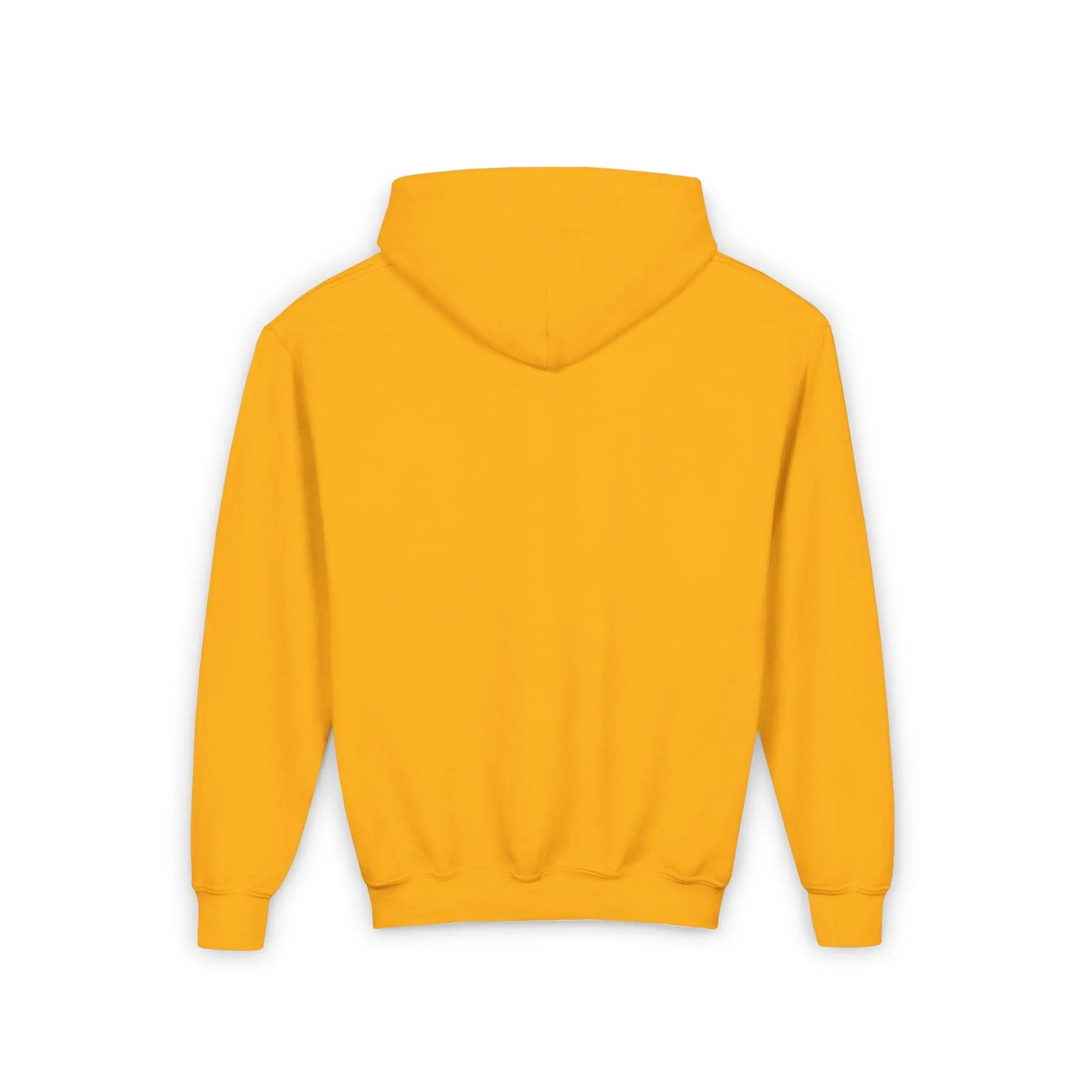 C10 FADED SERIES Youth Heavy Blend Hooded Sweatshirt Printify