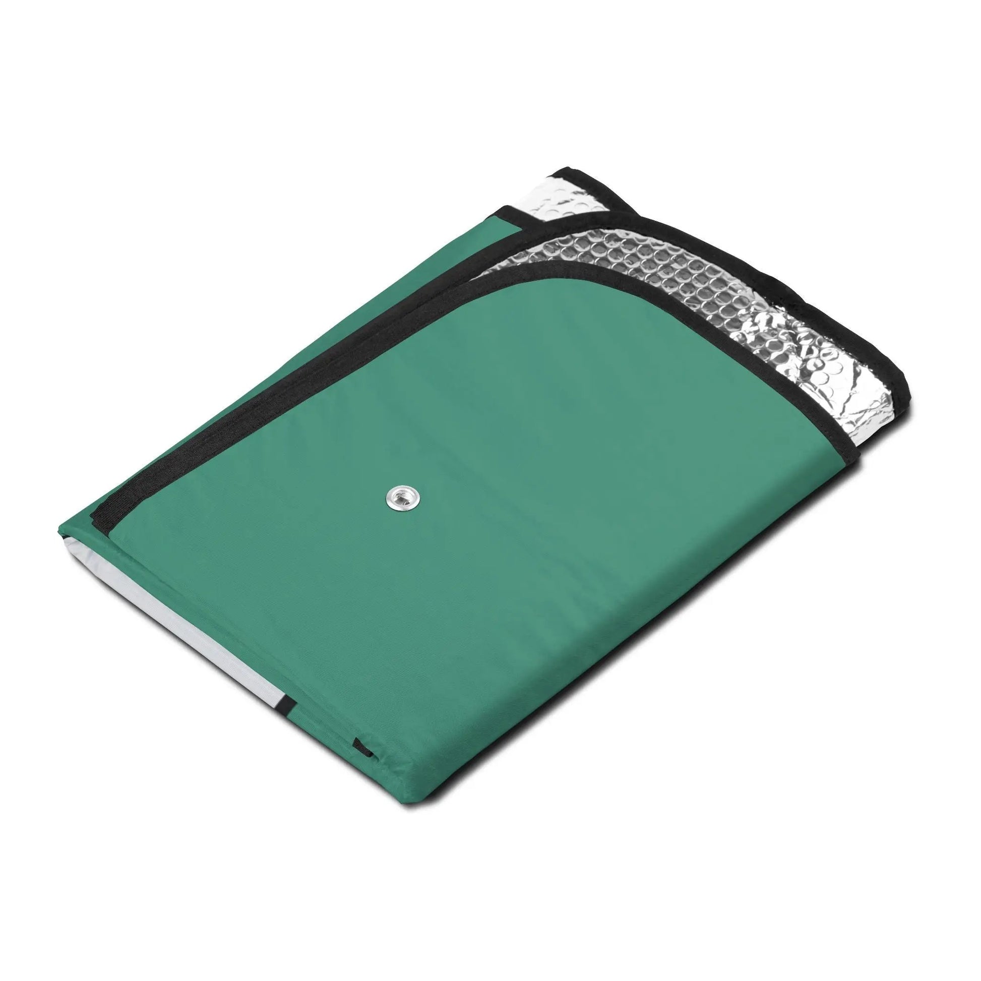 CAR SHOW windshield EYES Vintage Green Printify