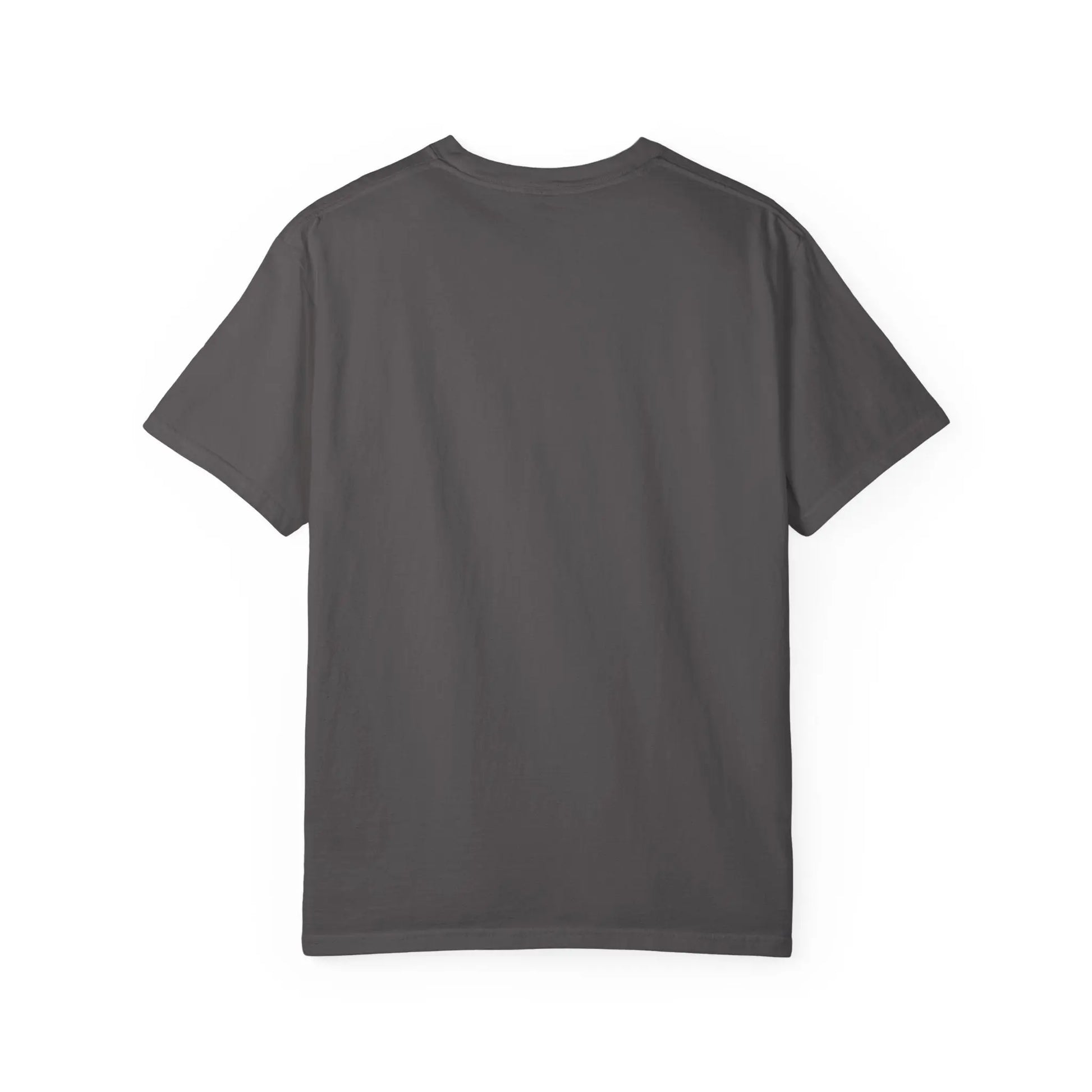 Vintage Wash Chevy C10 T-Shirt blk/wht Printify